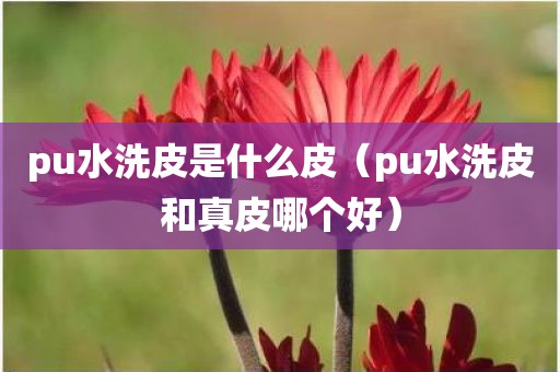 pu水洗皮是什么皮（pu水洗皮和真皮哪个好）