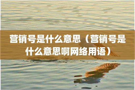 营销号是什么意思（营销号是什么意思啊网络用语）