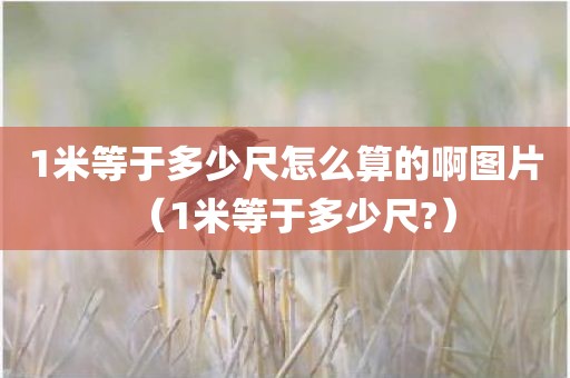 1米等于多少尺怎么算的啊图片(1米等于多少尺?) 1米等于多少尺怎么算的啊图片(1米等于多少尺?)