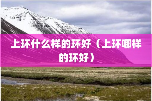 上环什么样的环好（上环哪样的环好）