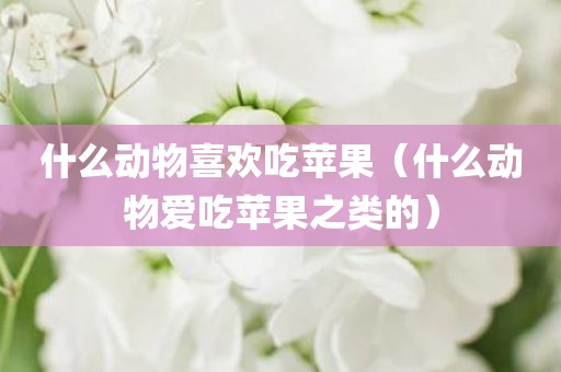什么动物喜欢吃苹果（什么动物爱吃苹果之类的）