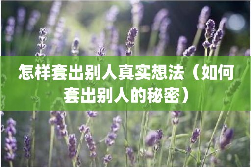 怎样套出别人真实想法（如何套出别人的秘密）
