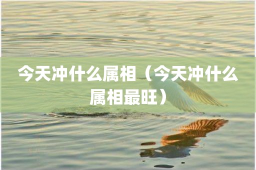 今天冲什么属相（今天冲什么属相最旺）