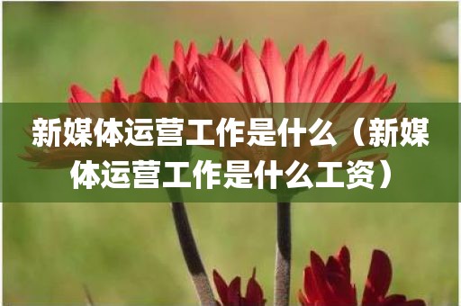 新媒体运营工作是什么（新媒体运营工作是什么工资）