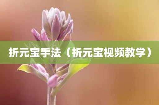 折元宝手法（折元宝视频教学）