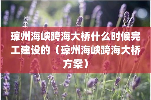 琼州海峡跨海大桥什么时候完工建设的（琼州海峡跨海大桥方案）