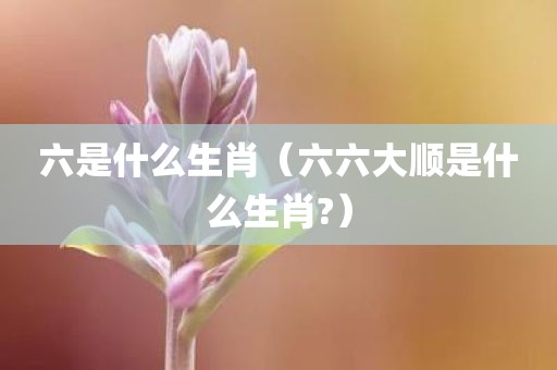 六是什么生肖（六六大顺是什么生肖?）