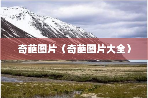 奇葩图片（奇葩图片大全）