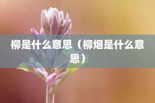 柳是什么意思（柳烟是什么意思）