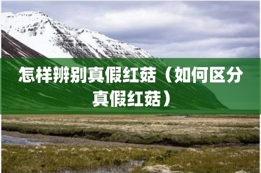 怎样辨别真假红菇（如何区分真假红菇）
