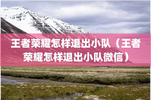 王者荣耀怎样退出小队（王者荣耀怎样退出小队微信）