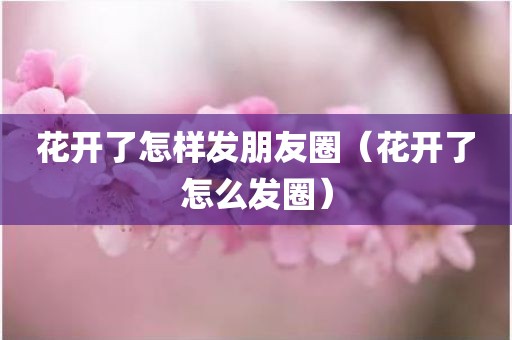 花开了怎样发朋友圈（花开了怎么发圈）