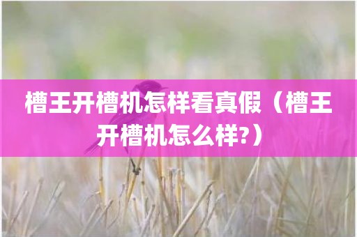 槽王开槽机怎样看真假（槽王开槽机怎么样?）