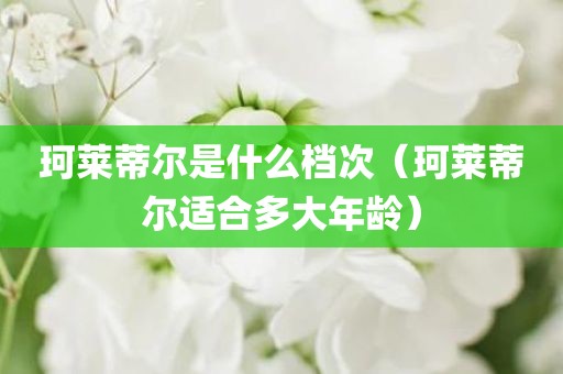 珂莱蒂尔是什么档次（珂莱蒂尔适合多大年龄）