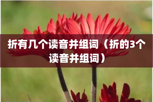 折有几个读音并组词(折的3个读音并组词)