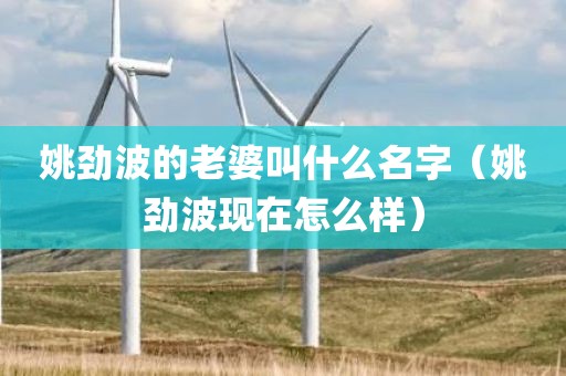 姚劲波的老婆叫什么名字（姚劲波现在怎么样）