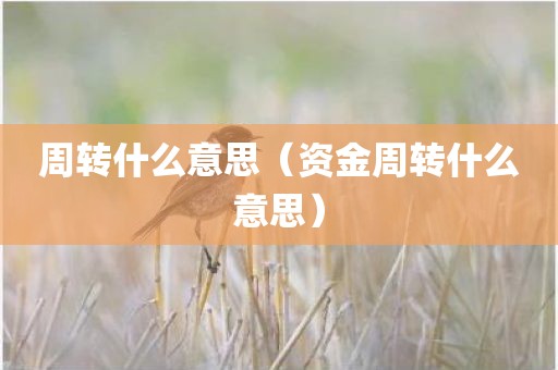 周转什么意思（资金周转什么意思）
