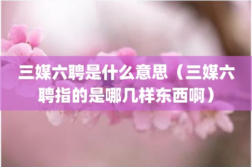 三媒六聘是什么意思（三媒六聘指的是哪几样东西啊）