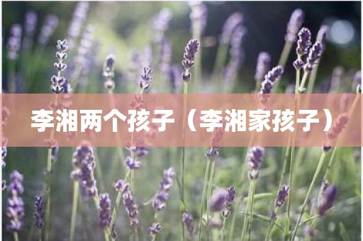李湘两个孩子（李湘家孩子）