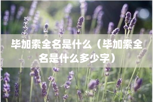 毕加索全名是什么（毕加索全名是什么多少字）
