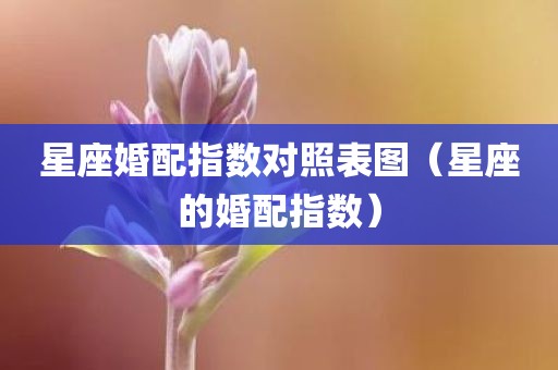 星座婚配指数对照表图（星座的婚配指数）