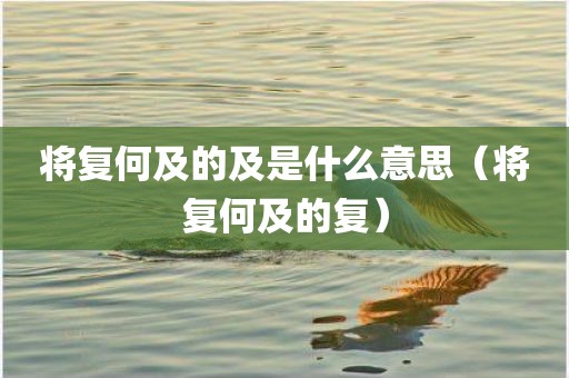 将复何及的及是什么意思（将复何及的复）