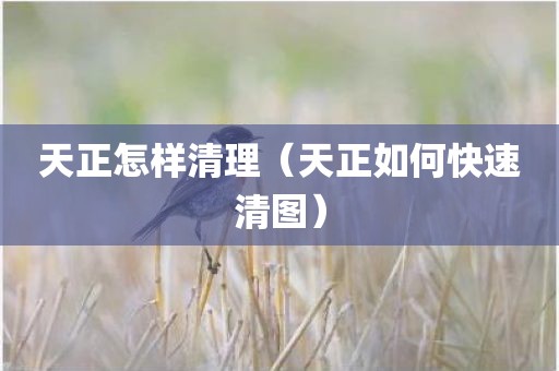 天正怎样清理（天正如何快速清图）