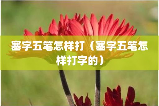 塞字五笔怎样打（塞字五笔怎样打字的）