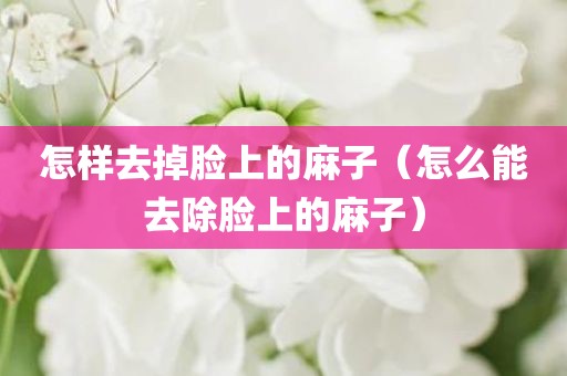 怎样去掉脸上的麻子（怎么能去除脸上的麻子）
