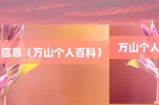 万山个人信息（万山个人百科）