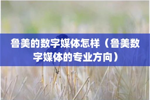 鲁美的数字媒体怎样（鲁美数字媒体的专业方向）
