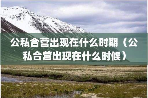 公私合营出现在什么时期（公私合营出现在什么时候）