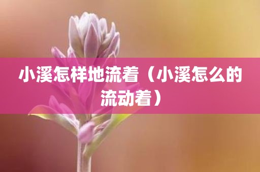 小溪怎样地流着（小溪怎么的流动着）