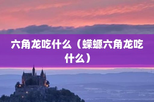 六角龙吃什么（蝾螈六角龙吃什么）