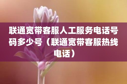 联通宽带客服人工服务电话号码多少号（联通宽带客服热线电话）
