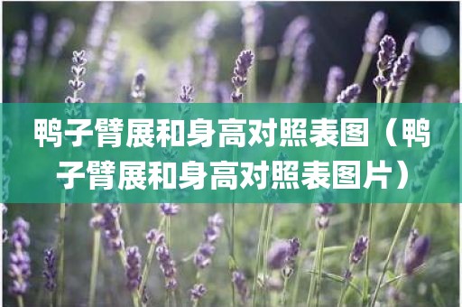 鸭子臂展和身高对照表图（鸭子臂展和身高对照表图片）