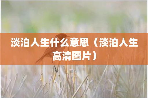 淡泊人生什么意思（淡泊人生高清图片）