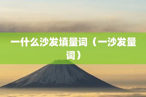一什么沙发填量词（一沙发量词）