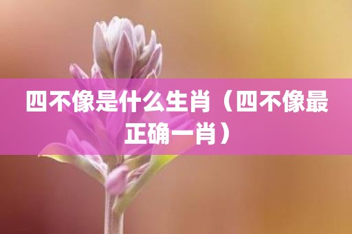 四不像是什么生肖（四不像最正确一肖）