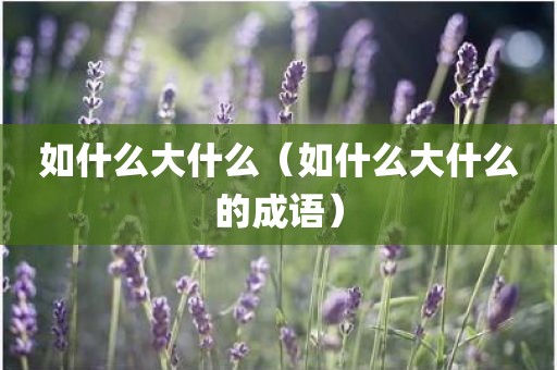 如什么大什么（如什么大什么的成语）