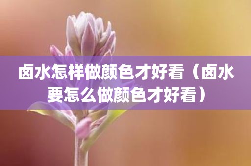 卤水怎样做颜色才好看（卤水要怎么做颜色才好看）