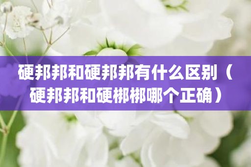 硬邦邦和硬邦邦有什么区别（硬邦邦和硬梆梆哪个正确）