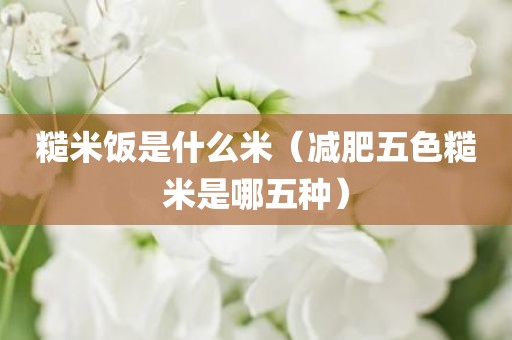 糙米饭是什么米（减肥五色糙米是哪五种）