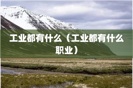 工业都有什么（工业都有什么职业）