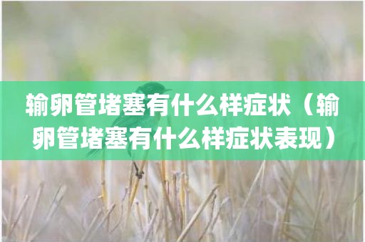 输卵管堵塞有什么样症状（输卵管堵塞有什么样症状表现）