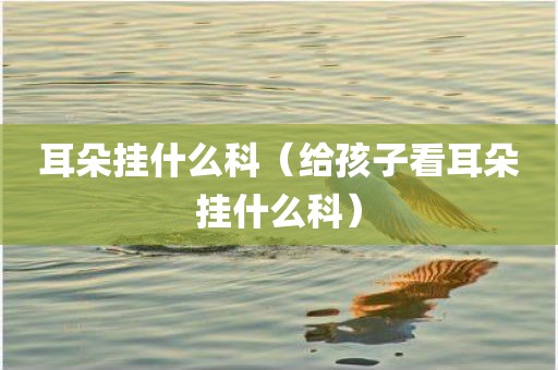 耳朵挂什么科（给孩子看耳朵挂什么科）