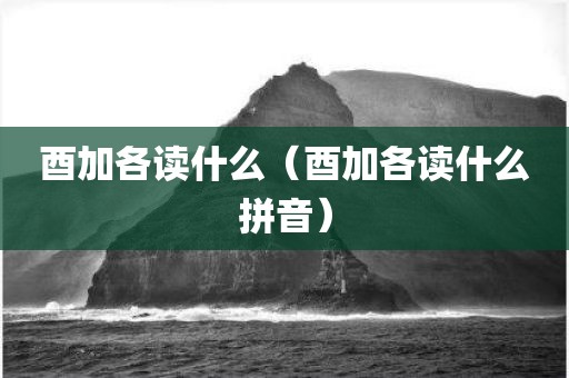 酉加各读什么（酉加各读什么拼音）