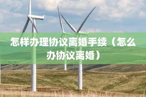 怎样办理协议离婚手续（怎么办协议离婚）