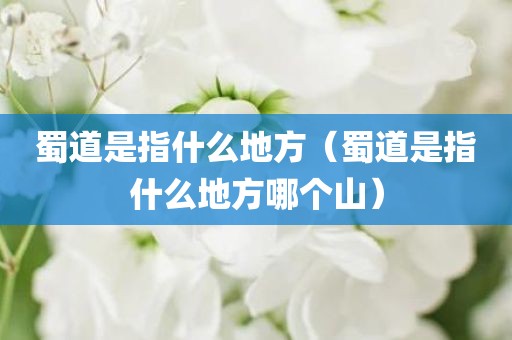蜀道是指什么地方（蜀道是指什么地方哪个山）