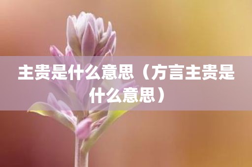 主贵是什么意思（方言主贵是什么意思）